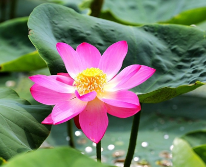 1564714186567417.png image.png